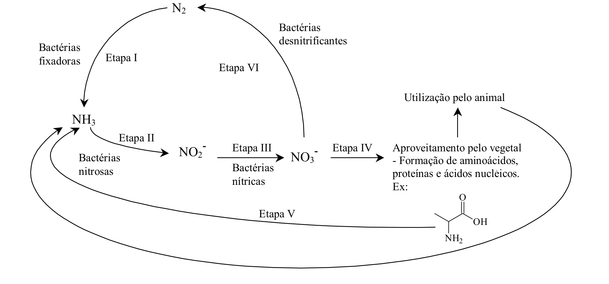Figura da prova, arquivo q45_fig01.png