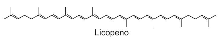 Figura da prova, arquivo q23_fig01.png